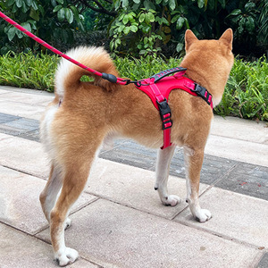 Arnés para perros estilo chaleco, correa ajustable para el pecho de tamaño mediano para perros medianos - Product Image 3