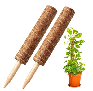 Bâton de palmier en noix de coco, un en 4 tailles, bâton de palmier en noix de coco naturelle, plantes vignes, colonnes d'escalade pour aider les plantes à pousser, Kit - Product Image 2