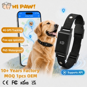 Dispositivo de Rastreo GPS 4G para Perros, Valla Electrónica Inteligente, Rastreador de Mascotas, <span class=keywords><strong>Mini</strong></span> Collar, IP67, Certificado ROHS, Plástico, Android - Product Image 1