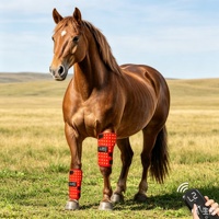 Bottes de thérapie sans fil à infrarouge lointain pour chevaux, 120 LED lumière rouge (660nm/850nm), équipement orthopédique équin pour la santé - Écologique
