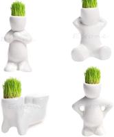 Têtes de poupées en céramique, mini bonsaï, tête de poupée en herbe, cheveux de poupée en céramique blanche, jardin de plantes, arbre en fleurs, pot de poupée en herbe