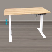 Nouveau design ergonomique, fer à repasser électrique, métal robuste, bureau moderne, hauteur réglable, 2 pieds, moteur unique, 70 kg
