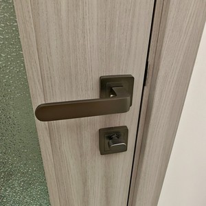 ベルソンWPC工場は、ガラス付きWPC防水ドアパネル、トイレドア、WPC浴室ドアパネルを製造しています。黄山サプライヤー。 - Product Image 6