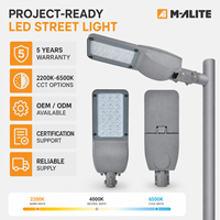 Lampadaire LED 190LM W IP65 IK08 40W à 200W pour éclairage routier extérieur, durée de vie de 50000H