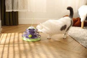 Diskon besar mainan Menara kucing 4 lapisan rol plastik trek Menara kucing meja putar bola dengan bola - Product Image 4