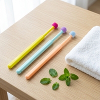 Brosse à dents pour chien de haute qualité en stock avec manche en plastique et poils Couleur et logo personnalisables