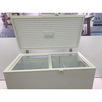 Réfrigérateur Commercial, 20 l, à bas prix, avec vitrine pour la viande, congélateur profond