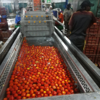 Nouvelle ligne de production de purée de tomate industrielle complète et automatique, emballage aseptique, Brix 28-30/36-38, 1-50T/H