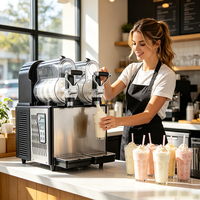 Machine à boissons glacées électrique portable automatique à 2 réservoirs pour les marchés nocturnes, les vendeurs de nourriture et l'usage domestique