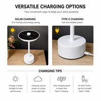Lampe de jardin portable moderne à commande par capteur, flexible, lumière de nuit USB, lampe de table LED d'extérieur pour mariage, alimentée par batterie, de luxe