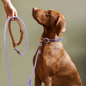 <span class=keywords><strong>Collar</strong></span> de perro de moda diseño personalizado hebilla de Metal duradero ajustable suave cómodo Ture cuero Np Pull lujo gato mascota collares - Product Image 6