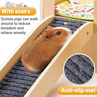 Maison pour chien en bois moderne et améliorée, robuste, portable, écologique, taille et couleur personnalisées, escalier, lit, cabane