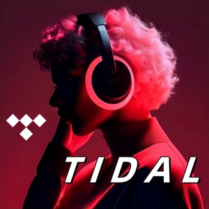 Tidall cao cấp đăng ký tidall nhạc tidall đăng ký tài khoản Hifi cộng với 1 3 6 12 tháng - Product Image 1