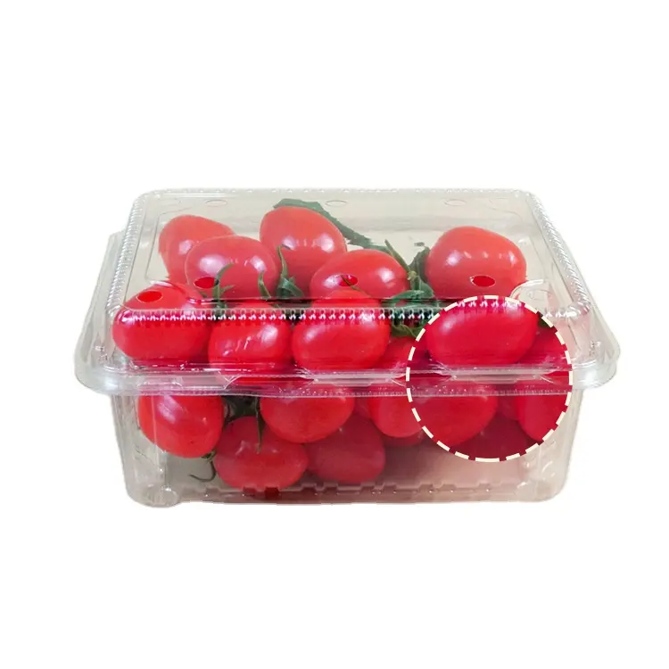 Caixa de frutas de plástico transparente caixa de frutas em concha recipiente estoque direto da fábrica