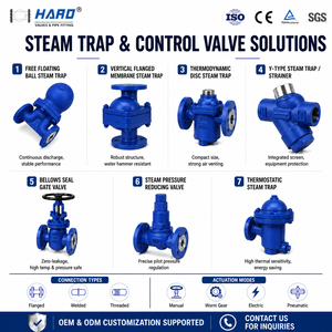Trappola di vapore a capsula DN15-DN100 per tubazioni di vapore, funzionamento manuale, vapore e condensa, media temperatura - Product Image 3