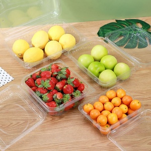 Best Price Recyclable PET Plastic Disposable Transparent Salad Fruit Lettuce Hamburger & Bread Blister Packaging Box - Product Image 2