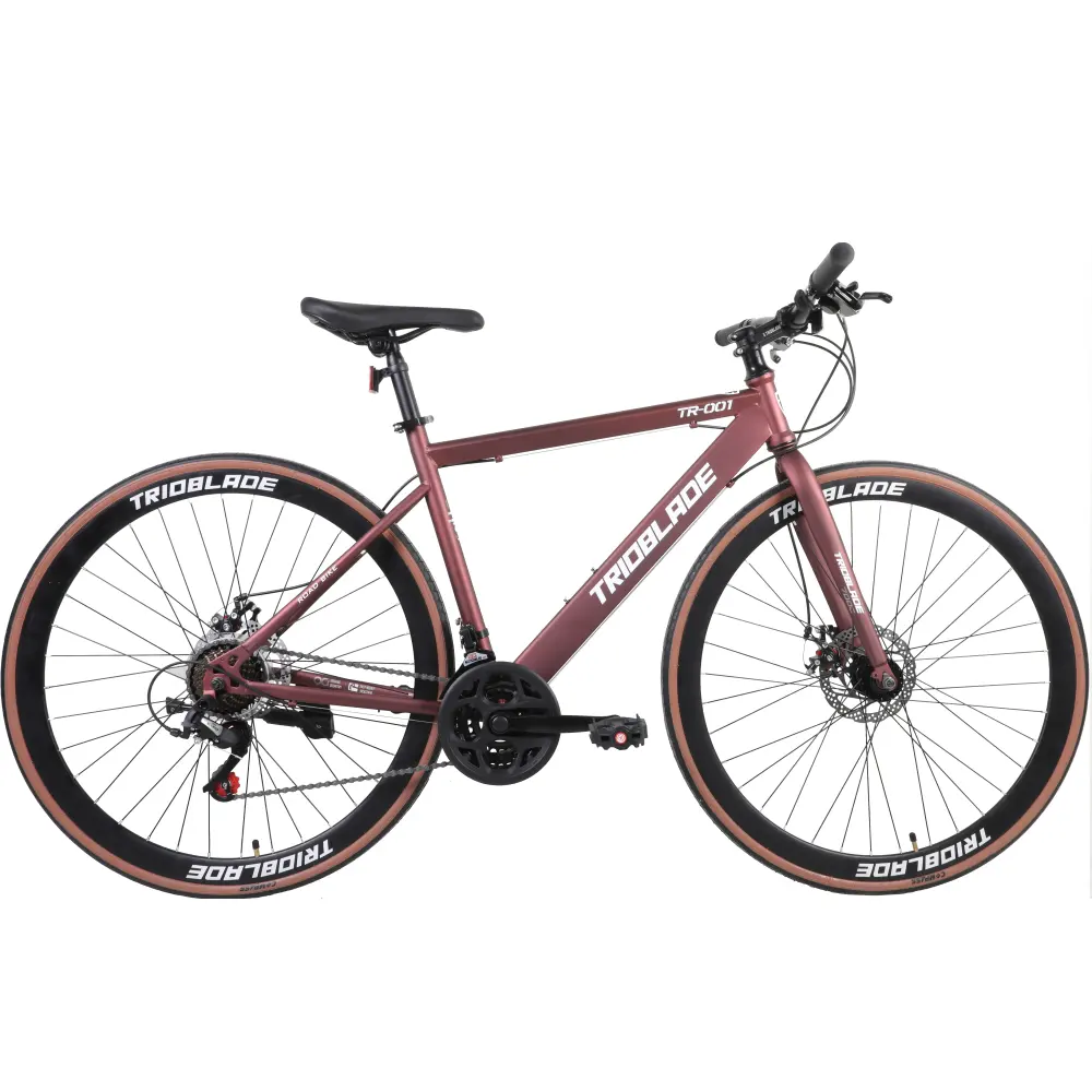 Bicicleta de carreras de cuadro de acero de alto carbono para adultos barata de entrega rápida OEM 700C bicicleta de carretera de 21 velocidades