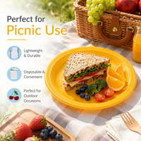 Assiettes jetables rondes en plastique PS de couleur unie, légères et portables, pour le camping, les pique-niques, les fêtes à domicile, les banquets