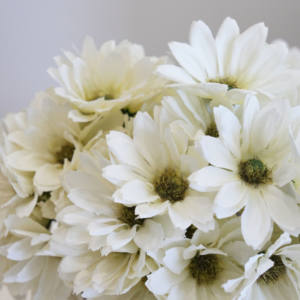 Trocken blumen hersteller Großhandel Frucht schale Melonen samen Handgemachtes Bouquet Weiche Blumen arrangement - Product Image 6