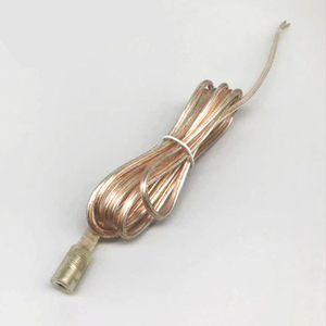 ไฟนีออน LED 5V 12V ลวดโปร่งใสที่ให้คะแนน IP67ขั้วต่อ DC ชายหญิงสำหรับสวนภูมิทัศน์ในสีฟ้าสีส้ม - Product Image 5