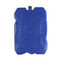 Glacière pour aliments et boissons, pour la pêche, barbecue, pique-nique, gel de qualité alimentaire, glacière, boîte réutilisable, blocs de glace