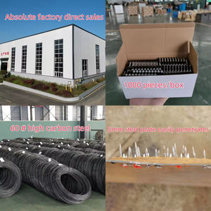 Clous à béton galvanisés de 3.0mm compatibles avec le <span class=keywords><strong>cloueur</strong></span> <span class=keywords><strong>Hilti</strong></span> BX3 - Product Image 6