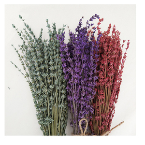 Planta de arreglo de flores naturales, flores secas conservadas, lavanda - Product Image 2
