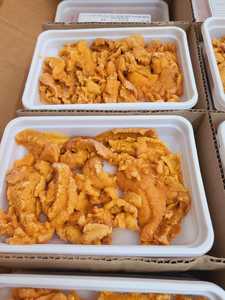 Oursins de mer congelés de nouvelle saison à bon prix, de haute qualité - Product Image 6