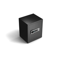 Morgie Großer Tresor aus Metall mit elektronischem Passwort und Schlüssel, modernes Design, 10-20L Fassungsvermögen, Multifunktions-Schmuckkassette