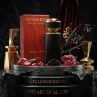 Parfum pour femme Amber Woody 100ml, présentoir de vente au détail, marque privée, parfum MOQ 100, Cologne