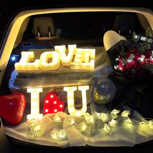 Prezzo di fabbrica attrezzature per matrimoni grandi grandi 3ft 4ft Mr e Mrs segno Led tendone lettere con lampadine - Product Image 5