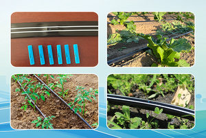 Fabricante <span class=keywords><strong>de</strong></span> Máquinas para Cintas <span class=keywords><strong>de</strong></span> Riego por Goteo Agrícola, Línea <span class=keywords><strong>de</strong></span> Producción <span class=keywords><strong>de</strong></span> Cintas <span class=keywords><strong>de</strong></span> Riego por Goteo con Emisor Plano Interno - Product Image 6