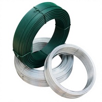Fil d'acier à faible teneur en carbone galvanisé, revêtement PVC, haute résistance à la traction 350-550N/mm, certifié ISO9001/CE pour cintre de jardin
