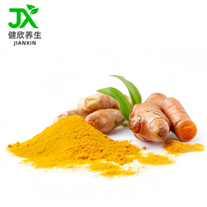 Водорастворимый порошок куркумы для напитков и капсул - Product Image 1