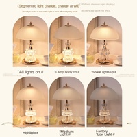 Lampe de table transfrontalière haut de gamme en fer forgé, style nordique, à intensité variable, commande tactile, batterie incluse, sensation premium