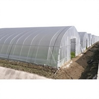 Serre tunnel saisonnière pour culture hivernale avec structure en acier galvanisé
