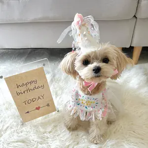 Hond Levert Verjaardagsfeestje Huisdier Verjaardag Speeksel Handdoek Bichon Driehoek Sjaal Bib Hoed Speeksel Handdoek Set Chihuahua Hond Accessoires