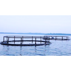 Trampas de Acuicultura MAVINEX, Fabricadas en Vietnam, Flotantes, Personalizables, para Uso en Piscifactorías y Centros de Investigación Acuícola, de HDPE - Product Image 6