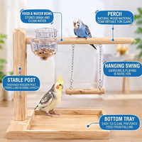 Support d'entraînement multifonctionnel pour perroquet, balançoire et jouet d'alimentation pour oiseaux, idéal pour l'élevage domestique en intérieur, personnalisable en usine, vente en gros