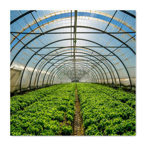 वैश्विक बेस्ट सेलर स्ट्रॉबेरी ग्रीनहाउस इनडोर गार्डन सिंगल स्पैन ग्रीन हाउस पॉली टनल ग्रीनहाउस - Product Image 5