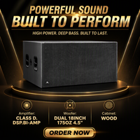 Offre Spéciale – Subwoofer Actif Double 18 Pouces 2400W RMS DSP Classe D avec Boîtier en Bois et Acier pour Grands Festivals, Stades et Événements Scéniques en Direct