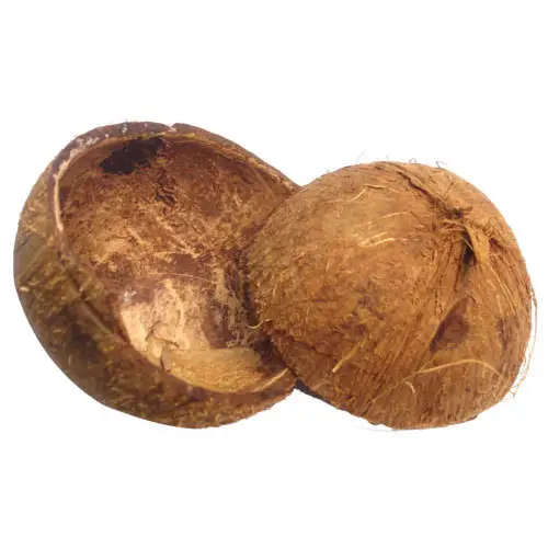 COCONUT SHELL - RAW COCONUT SHELL DIE BEST SELLING COCONUT PRODUCTS VON VIETNAM 2022