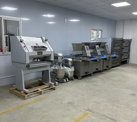 Horno Rotatorio Eléctrico de 32 Bandejas, a Diésel/Gas, con Puerta Doble de Vidrio, 100 kg/h, para Panadería Artesanal y Aulas
