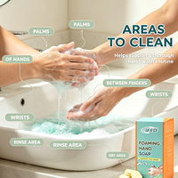 Tablettes de savon moussant naturel personnalisées avec logo, tablettes solides effervescentes pour le lavage des mains, pour les marques éco-responsables