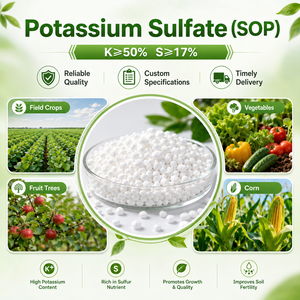 Solfato di Potassio Grado Tecnico SOP K2SO4 CAS 7778-80-5 K 50% Fertilizzante a Base di Potassio Formulazione Personalizzata Prezzo di Fabbrica all'Ingrosso - Product Image 1