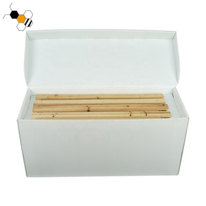 Personalizado PP 5 Marcos Langstroth Cartón Nuc Caja Plástico Apicultura Núcleo Para Abejas - Product Image 2