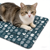 Coussin pour animaux de compagnie en polaire avec housse amovible à imprimé dinosaure amusant, lavable en machine, coussin chaud pour chiens et chats
