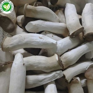 Frozen IQF King Huître Champignon Blanc Pleurotus <span class=keywords><strong>Eryngii</strong></span> Tranches En Vrac Organique Congélation Sain Naturel En Gros - Product Image 5