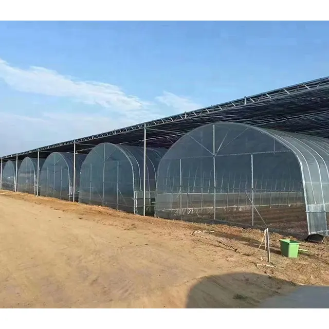 Nouvelle serre agricole en plastique à travée unique pour fermes Maisons vertes