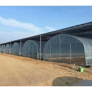 Rumah kaca plastik pertanian rentang tunggal baru untuk rumah hijau pertanian